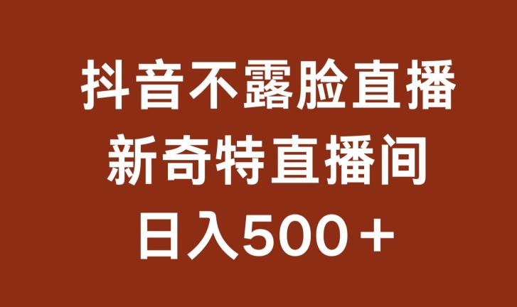 不露臉掛機直播，新奇特直播間，日入500+【揭秘】