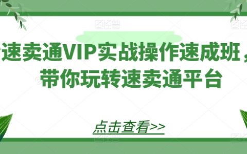速賣通VIP深度實操課程：掌握速賣通平臺運營技巧，快速上手