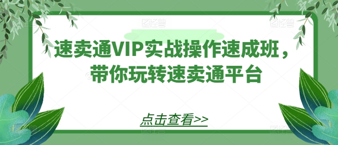速賣通VIP實戰操作速成班，帶你玩轉速賣通平臺