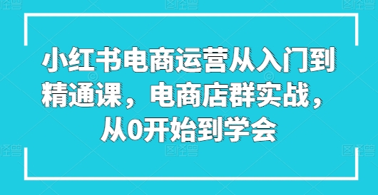 小紅書電商運營從入門到精通課，電商店群實戰，從0開始到學會