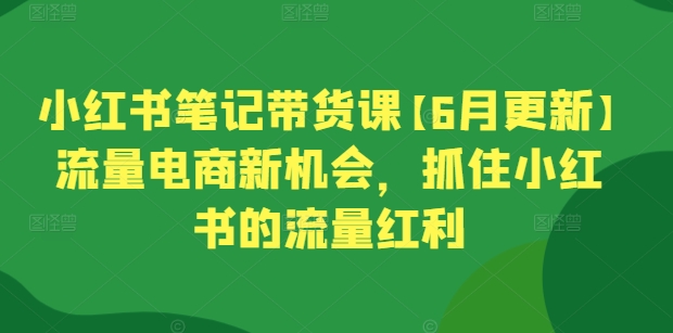 小紅書筆記帶貨課【6月更新】流量電商新機會，抓住小紅書的流量紅利