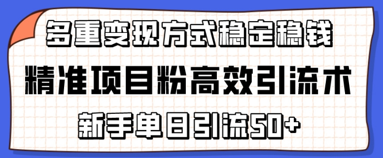 精準(zhǔn)項(xiàng)目粉高效引流術(shù)，新手單日引流50+，多重變現(xiàn)方式穩(wěn)定賺錢【揭秘】