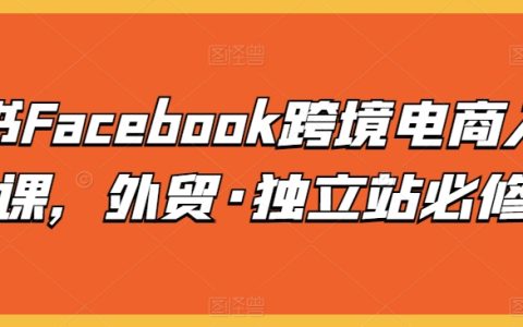 Facebook跨境電商入門必學課：外貿獨立站必修，輕松掌握跨境電商運營秘籍