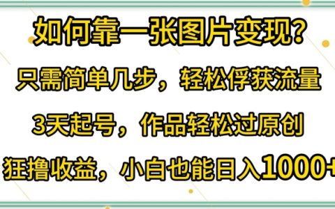 揭秘！一張圖片變現(xiàn)技巧，輕松俘獲流量，3天起號，作品輕松過原創(chuàng)！