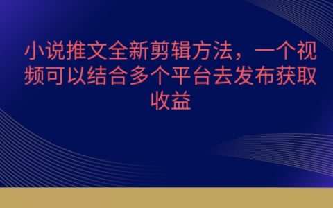 小說推文剪輯新技巧，多平臺發布，流量爆棚的秘密【獨家揭秘】