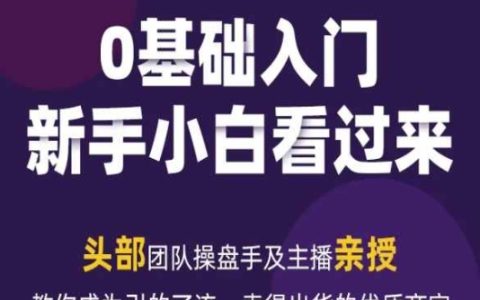 2024新媒體流量變現(xiàn)實(shí)操手冊：掌握引流賣貨技巧，成為卓越商家的指南