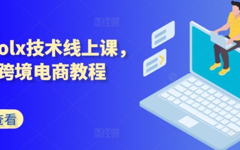 波蘭OLX平臺在線培訓課程，Kim老師教你跨境電商實用技巧