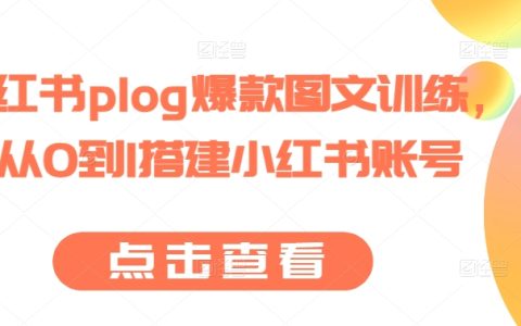 小紅書新手必備：從0到1搭建小紅書賬號的plog爆款圖文訓練營