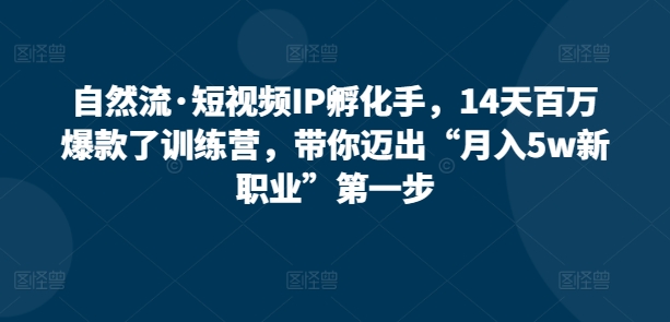 自然流·短視頻IP孵化手，14天百萬爆款了訓練營，帶你邁出“月入5w新職業”第一步