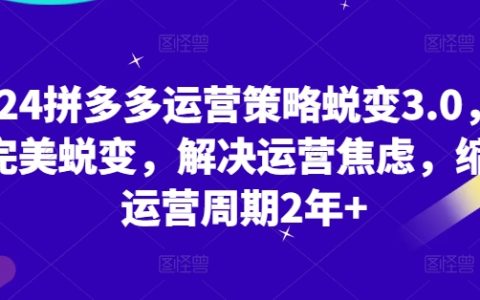 2024拼多多運營策略升級3.0：從新手到專家，解決運營焦慮，縮短運營周期，實現完美蛻變