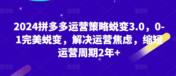 2024拼多多運(yùn)營(yíng)策略蛻變3.0，0-1完美蛻變，解決運(yùn)營(yíng)焦慮，縮短運(yùn)營(yíng)周期2年+