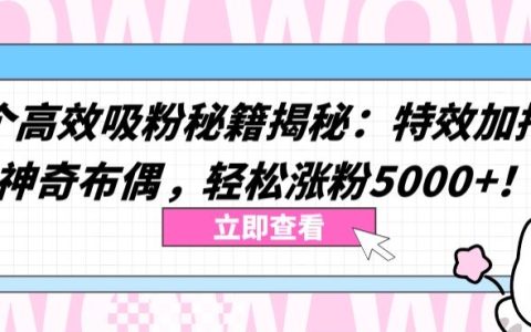 雙效吸粉絕招大公開：特效助力與神秘布偶策略，快速增粉5000+【獨家曝光】