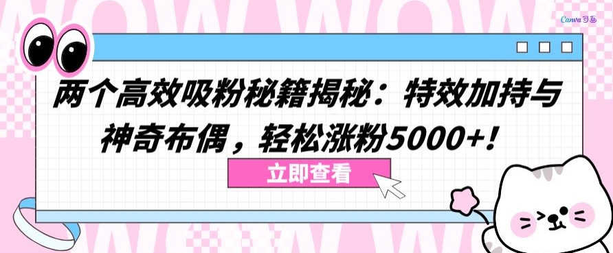 兩個(gè)高效吸粉秘籍揭秘：特效加持與神奇布偶，輕松漲粉5000+【揭秘】
