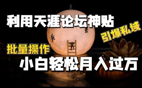 如何利用天涯論壇神貼打造私域流量池，實(shí)現(xiàn)批量操作，助力小白月入過(guò)萬(wàn)【揭秘】
