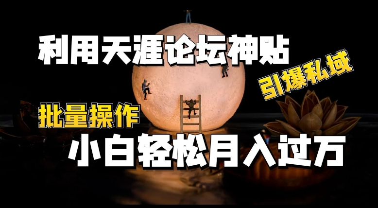 利用天涯論壇神貼，引爆私域，批量操作，小白輕松月入過w【揭秘】
