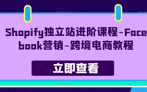 Shopify獨(dú)立站進(jìn)階課：Facebook 營銷，跨境電商秘籍！