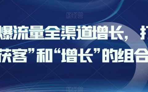 全渠道流量增長策略：有效結(jié)合獲客與增長，實現(xiàn)流量激增