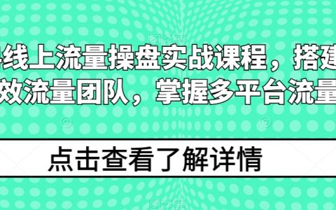 2024年線上流量運營實戰班：構建高效流量團隊，精通多平臺流量獲取策略
