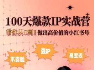小紅書100天爆款I(lǐng)P實戰(zhàn)營，帶你從0到1做出高價值的小紅書號