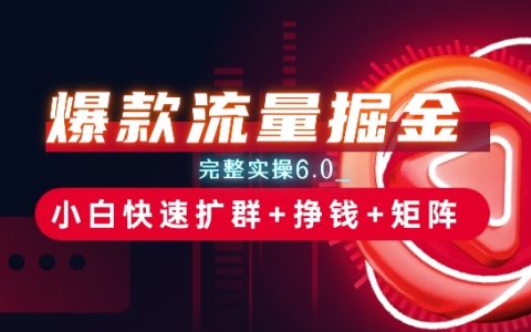 流量變現秘籍：6.0實操全解析，小白如何快速擴群、盈利和構建矩陣思維【深度揭秘】