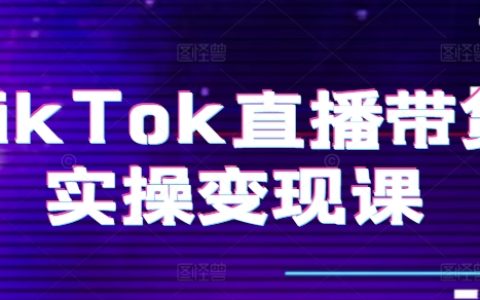 TikTok直播電商實(shí)戰(zhàn)解析：從零開始打造賬號(hào)、精準(zhǔn)復(fù)盤、完整變現(xiàn)路徑、直播設(shè)備配置、小店運(yùn)營(yíng)流程、團(tuán)隊(duì)建設(shè)全指南