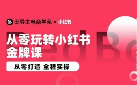 王導主小紅書電商實戰課程，零基礎全程實操教學