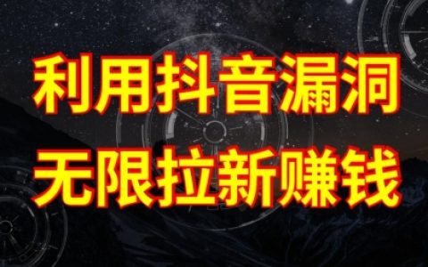 抖音鏈接漏洞驚天內幕：破解賺錢新套路，揭秘漏洞原理及操作流程！