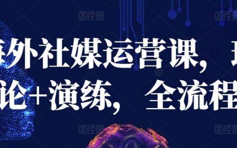 海外社媒運營全流程實戰課：理論+演練，輕松掌握運營秘籍