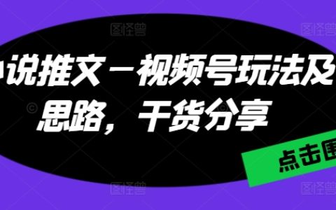 小說推廣短視頻：視頻號營銷策略與創(chuàng)新思路，實(shí)用技巧大公開【解析成功案例】
