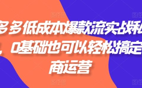 拼多多低成本爆款實戰私教課：0基礎也能輕松玩轉電商運營，獨家秘籍等你來學！