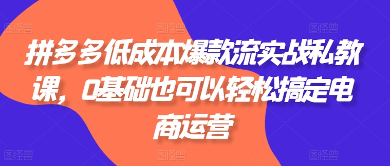 拼多多低成本爆款流實(shí)戰(zhàn)私教課，0基礎(chǔ)也可以輕松搞定電商運(yùn)營(yíng)