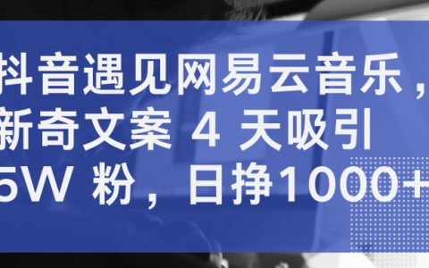 抖音與網易云音樂的新奇合作：4天吸引5萬粉絲，日賺1000+揭秘