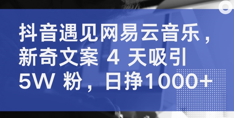 抖音遇見網易云音樂，新奇文案 4 天吸引 5W 粉，日掙1000+【揭秘】