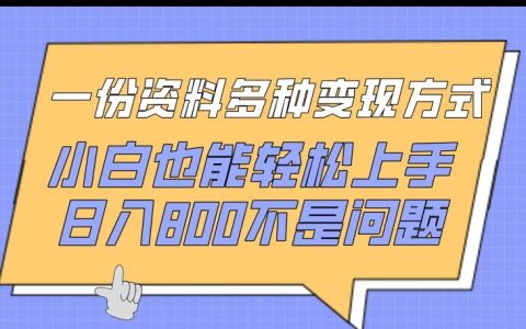 多種變現方式資料，小白也能輕松上手，日入800+，揭秘賺錢秘密通道