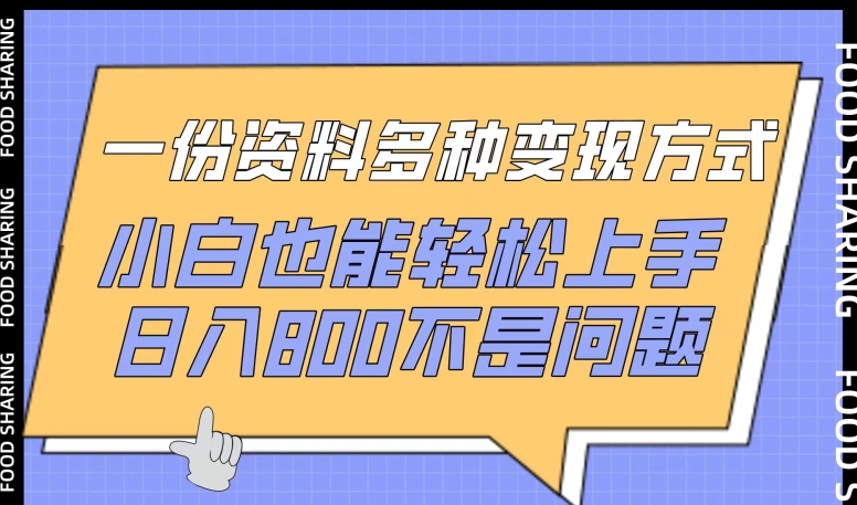 一份資料多種變現(xiàn)方式，小白也能輕松上手，日入800不是問題【揭秘】