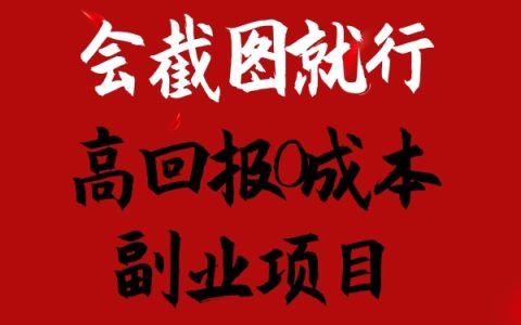 0成本副業(yè)賺錢揭秘：只需截圖技能，離婚模板銷售日入1500+的高回報項目