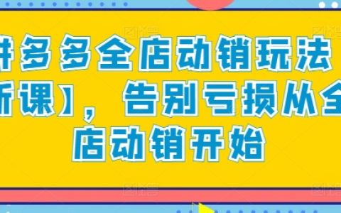 拼多多全店動銷策略【最新課程】，實現盈利：從全店動銷入手告別虧損