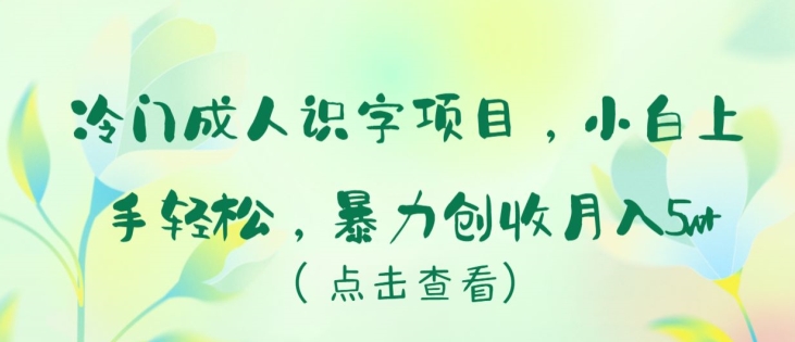 冷門成人識字項目，小白上手輕松，暴力創收月入5w+【揭秘】