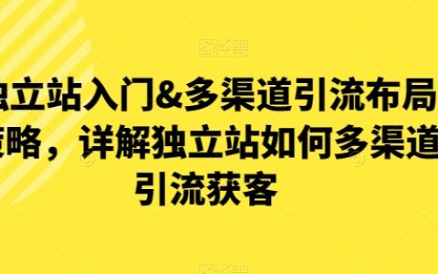 獨立站引流入門&多渠道布局策略：深度解析獨立站如何實現多渠道引流獲客【揭秘】