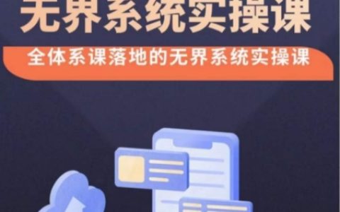 【實操揭秘】無界系統完整版38節課程，全方位落地改版操作，精準選擇與出價，實現高投產付費引流！