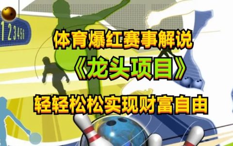 熱門體育賽事解說攻略：簡單易學的解說技巧，助力小白快速上手，穩定收益【揭秘】