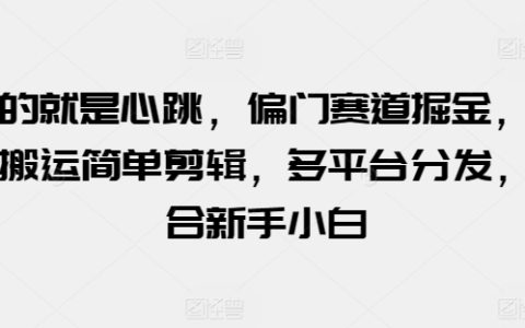 探索心跳體驗：偏門掘金賽道，視頻搬運與剪輯技巧，多平臺內容分發，適合初學者小白【揭秘】