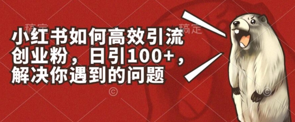 小紅書如何高效引流創業粉，日引100+，解決你遇到的問題【揭秘】