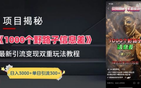 揭秘一千個野路子信息差新玩法：教程指導變現+引流具體策略，實現盈利最大化！