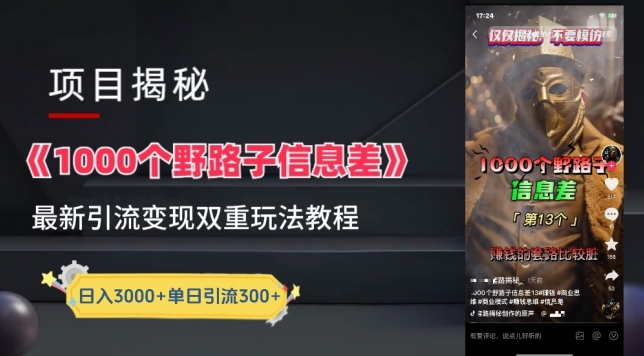 一千個野路子信息差最新玩法教程-變現+引流的玩法具體拆解【揭秘】