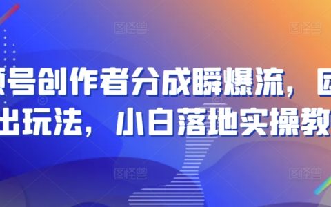 視頻號(hào)盈利新模式：團(tuán)隊(duì)新玩法揭秘，小白創(chuàng)作者實(shí)操攻略，快速實(shí)現(xiàn)流量變現(xiàn)
