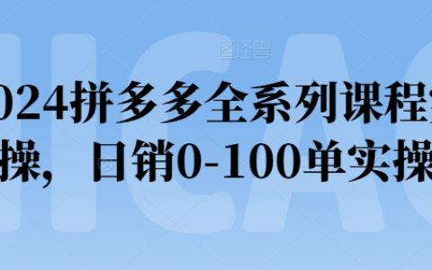 2024拼多多全系列課程實操：從零到一，日銷百單的實戰攻略，必看！
