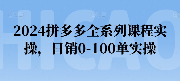 2024拼多多全系列課程實操，日銷0-100單實操【必看】