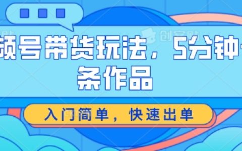 視頻號帶貨新玩法：5分鐘輕松制作，快速出單，揭秘入門策略