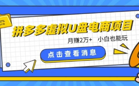 拼多多虛擬U盤電商新機遇：月收入2萬+，零基礎小白賺錢攻略